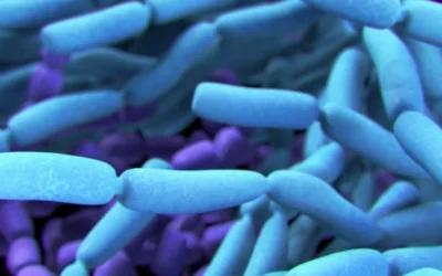 What Are the Benefits of Probiotics?