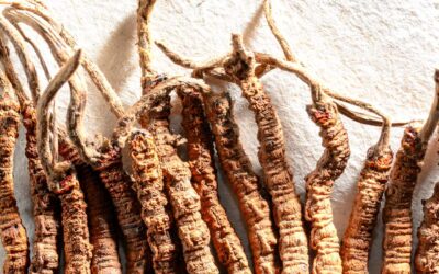 5,300-Year-Old Parasite Remedies Discovered