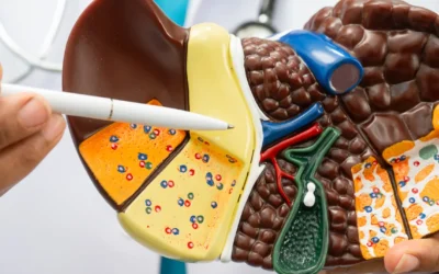 What Is Truly Best for your Liver?