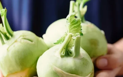 What Is Kohlrabi? Benefits, Nutrition, and How to Cook It