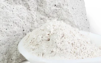Zeolite for Gut Health: Benefits, Uses, and Detox Support