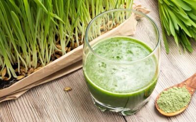 Barley Grass Powder – one of the best foods