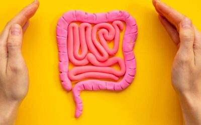 Nine things that harm your intestinal flora