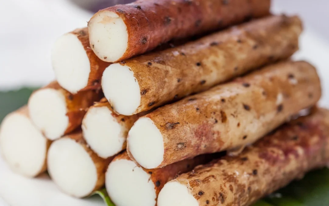 Wild Yam for Bone & Hormone Health