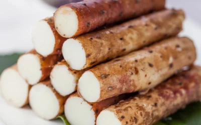 Wild Yam for Bone & Hormone Health