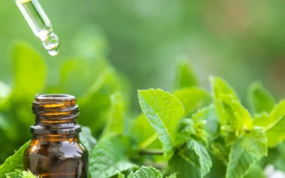 Peppermint: Effects, Benefits & Uses for Digestion, Headaches and More
