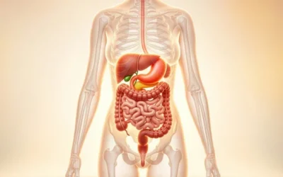 Understanding Your Intestines: How Digestion Really Works