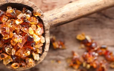 Acacia Fiber: Gut Health Benefits, Uses, and Possible Side Effects