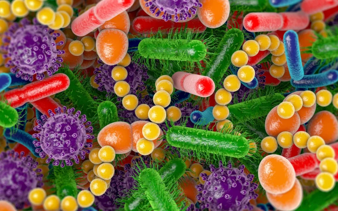 Can Gut Bacteria Influence Food Cravings and Eating Behavior?